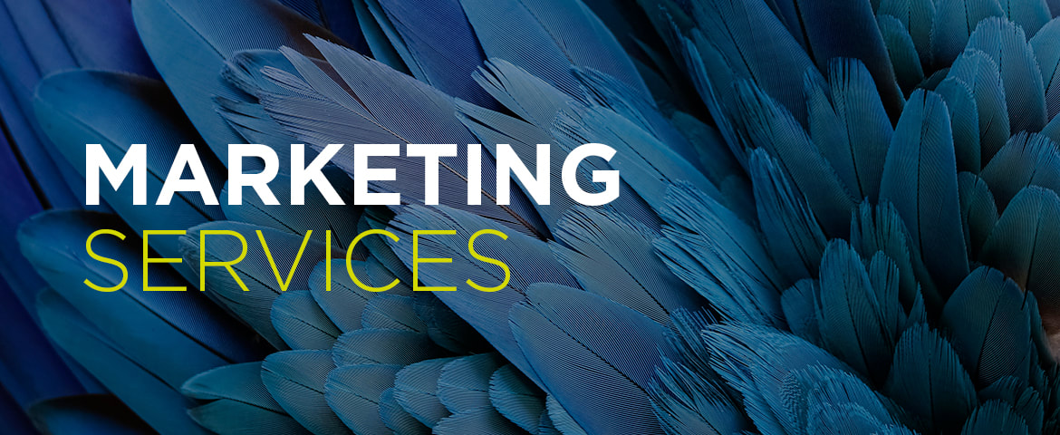 Marketing Services, Based in newbury
